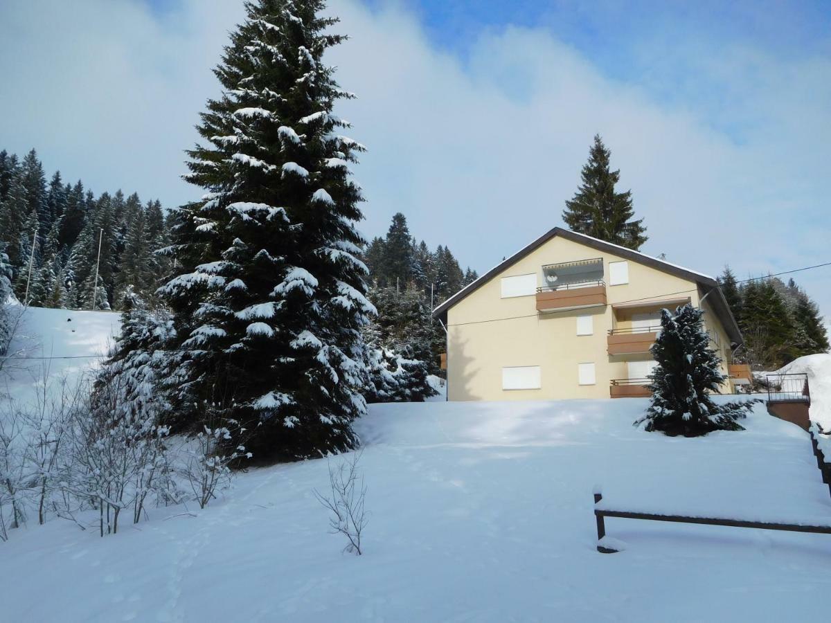 Ferienwohnung Schwarzwaldrauschen โชนวัลด์ ภายนอก รูปภาพ