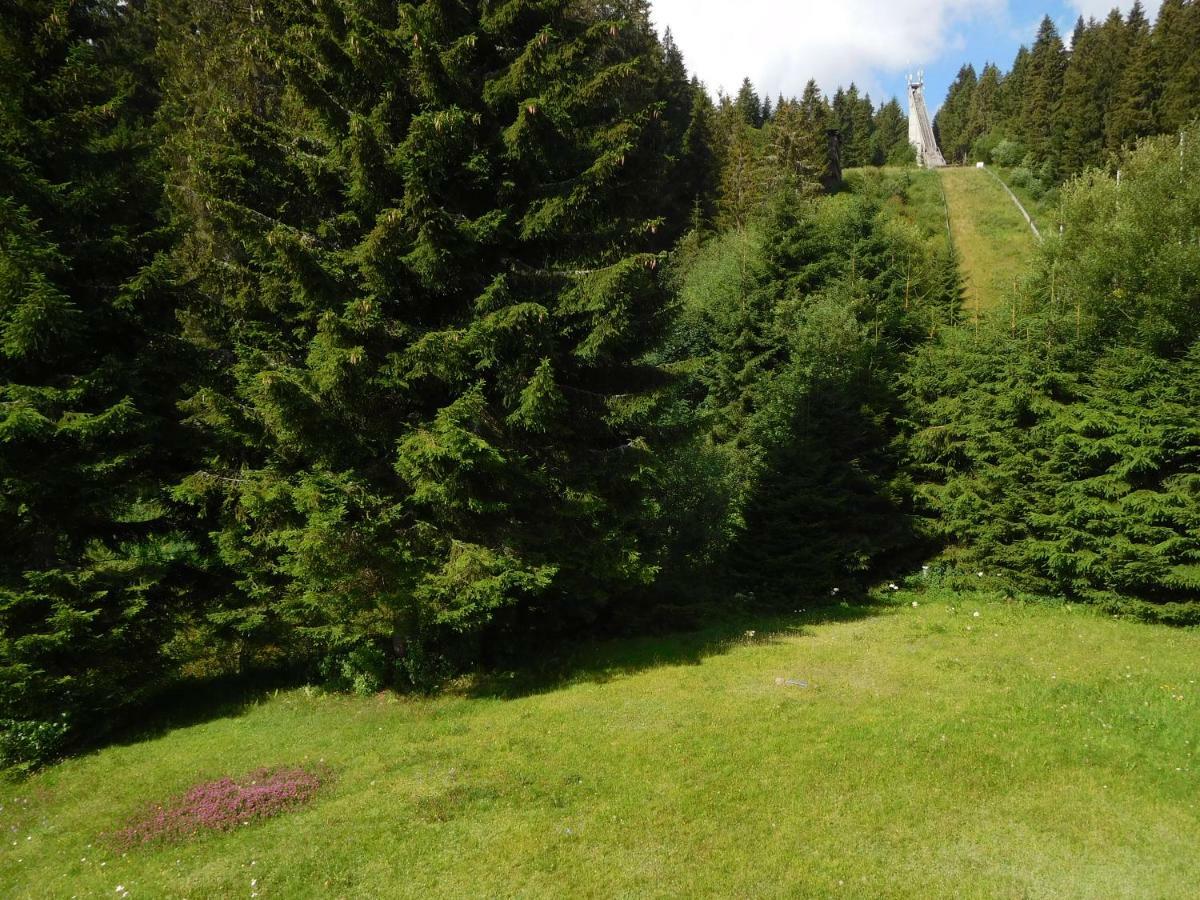 Ferienwohnung Schwarzwaldrauschen โชนวัลด์ ภายนอก รูปภาพ