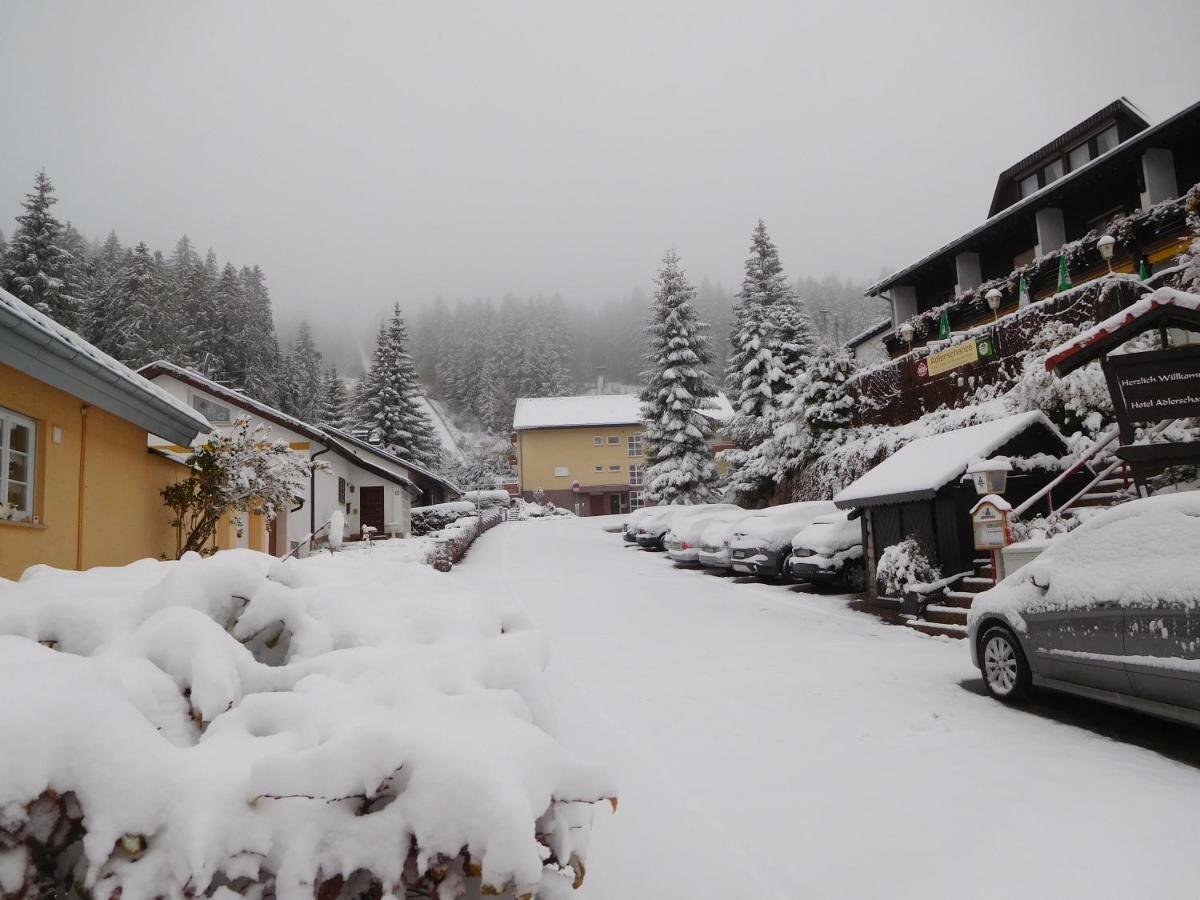 Ferienwohnung Schwarzwaldrauschen โชนวัลด์ ภายนอก รูปภาพ